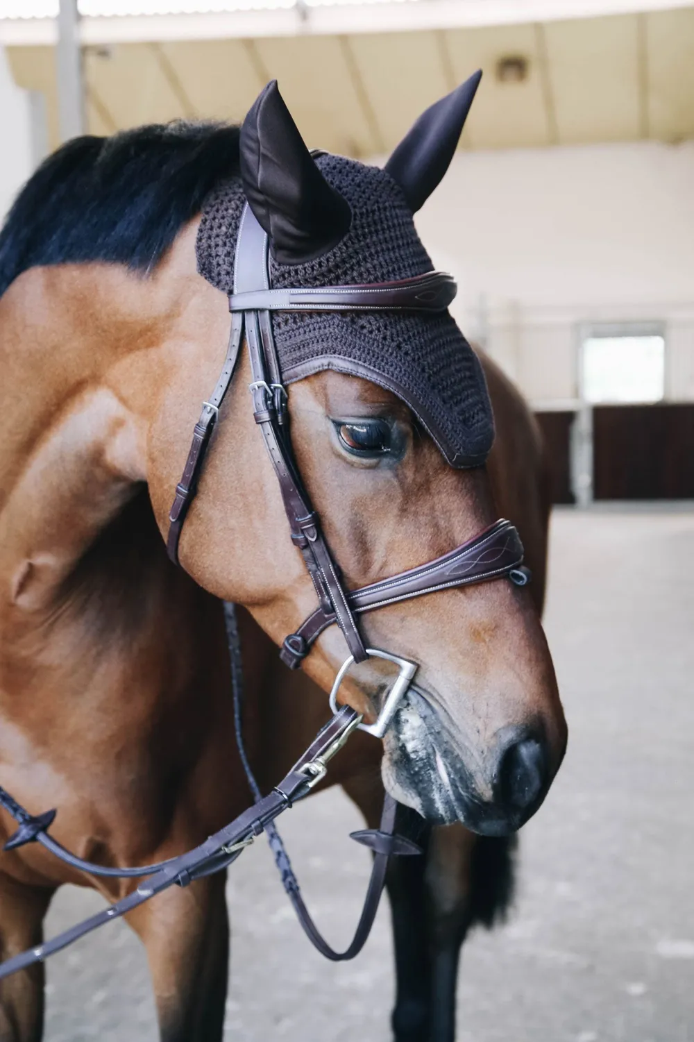 Kentucky Horsewear Schabrak & Huvor-Wellington Isolerad Huva Läder Brun