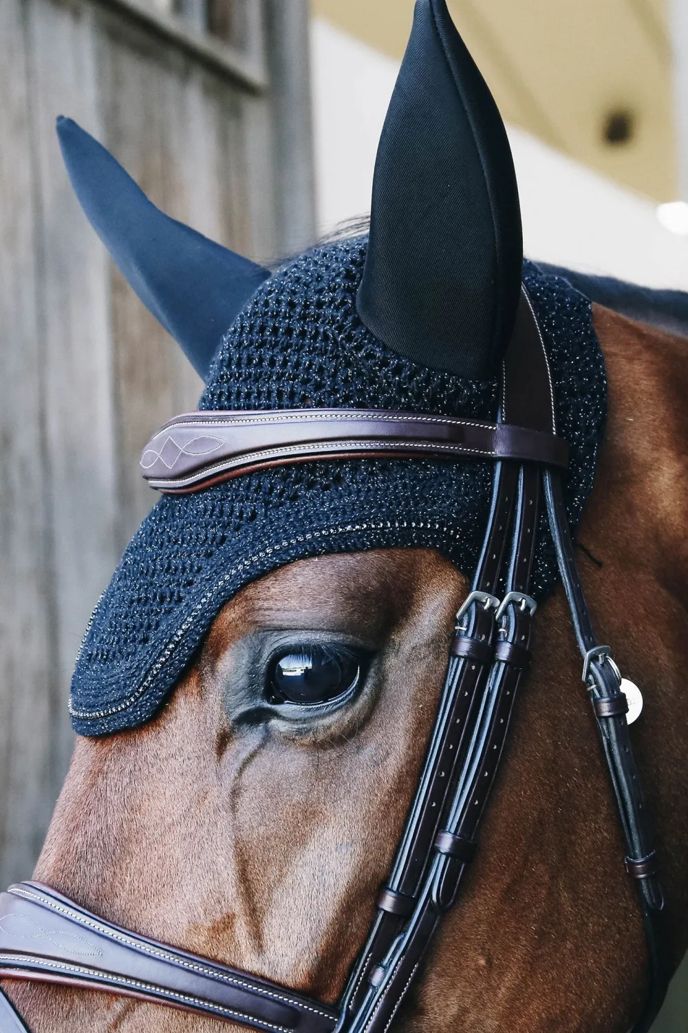Kentucky Horsewear Schabrak & Huvor-Wellington Isolerad Huva Sparkling Svart
