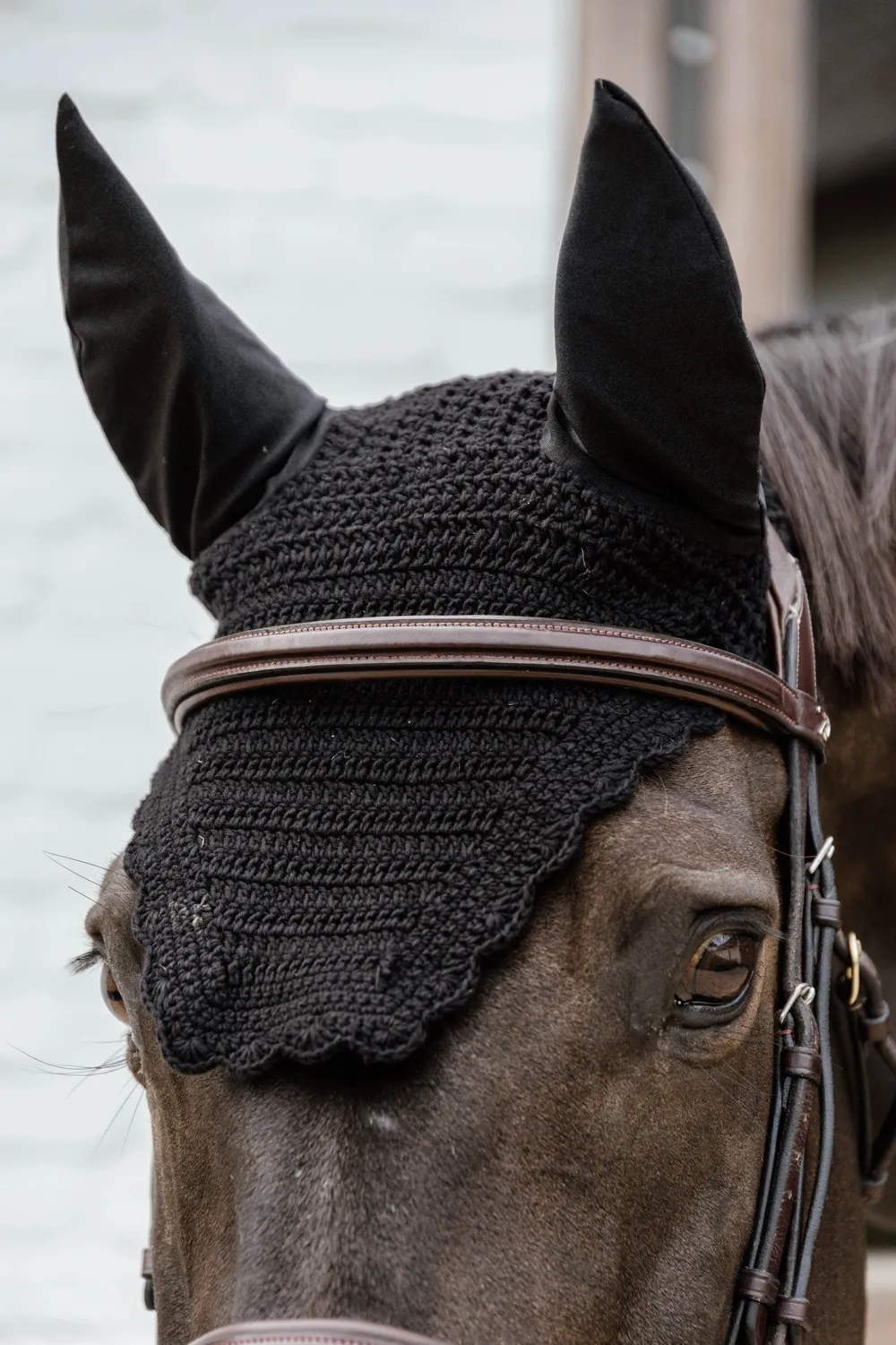 Kentucky Horsewear Kentucky Horsewear|Schabrak & Huvor-Wellington Soundless Huva Wave Svart