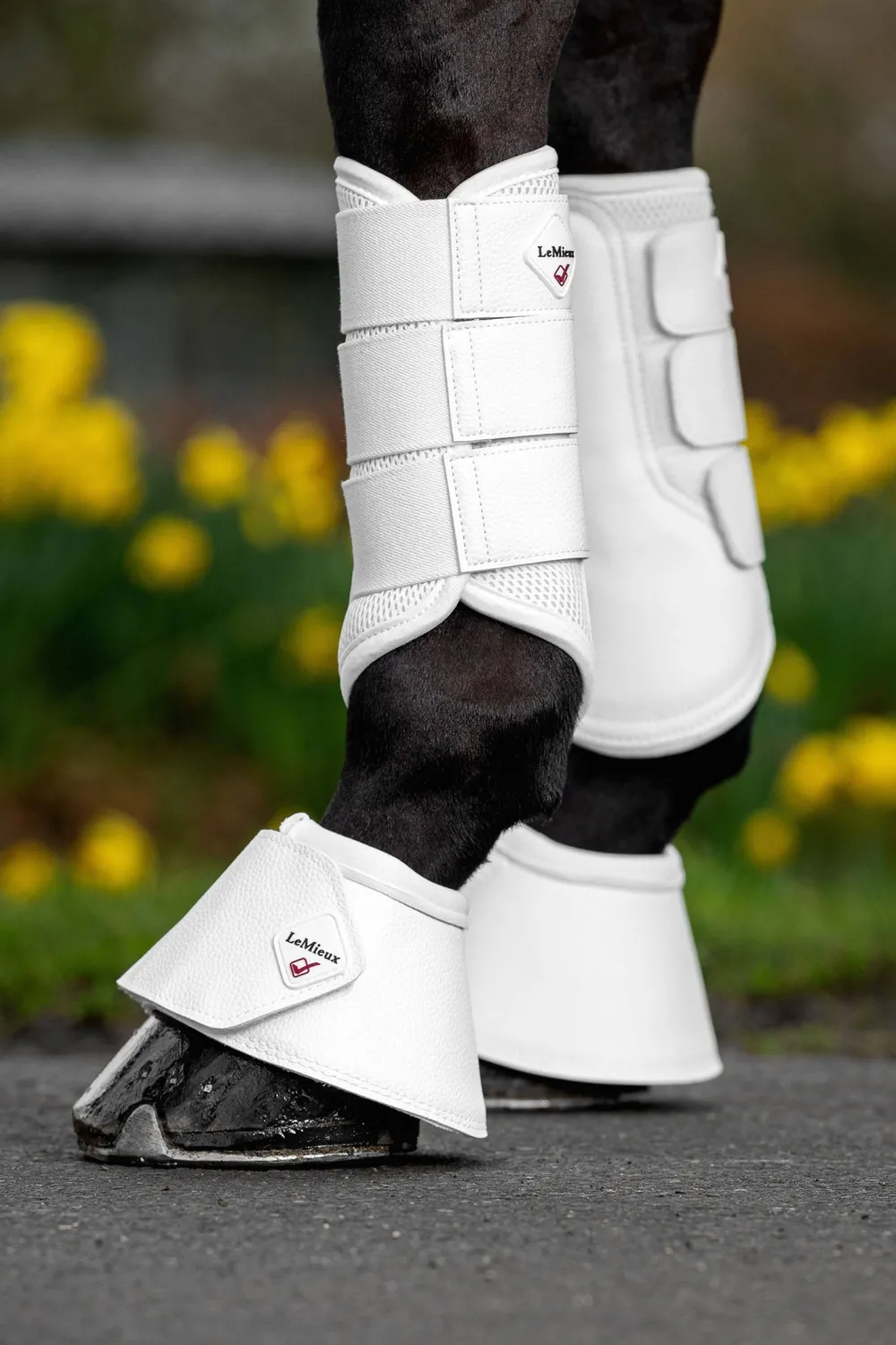 LeMieux Lemieux|Benskydd & Benlindor-WrapRound eather Boots