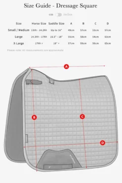 LeMieux Schabrak & Huvor|Lemieux-X-Grip Silicon Dressyrschabrak Svart